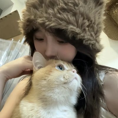 恋爱部屋