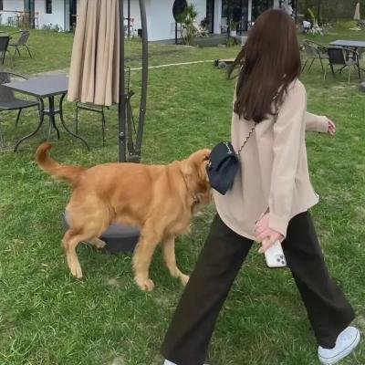 飞天小女警第四季